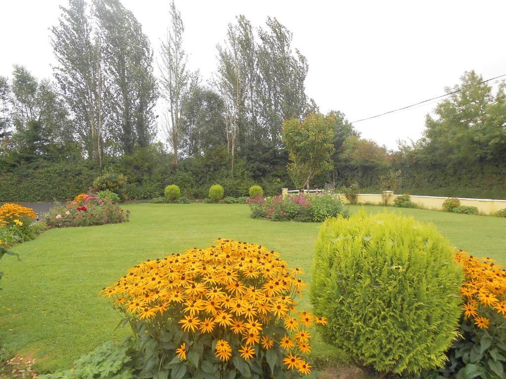 Gallows View Bed & Breakfast Bunratty Szoba fotó